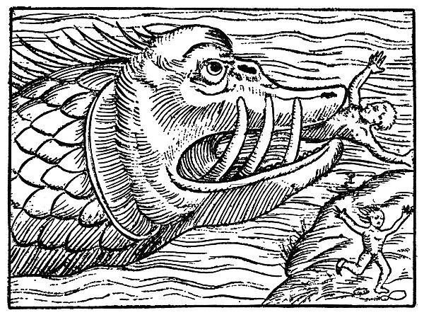 SEA MONSTER. Medieval woodcut