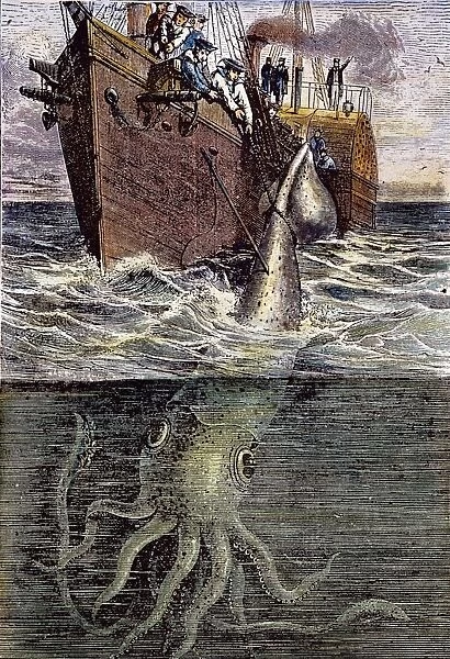 SEA MONSTER. Sailors of the French corvette Alecton harpooning a monster cuttlefish off the coast of Madeira. Wood engraving, late 19th century