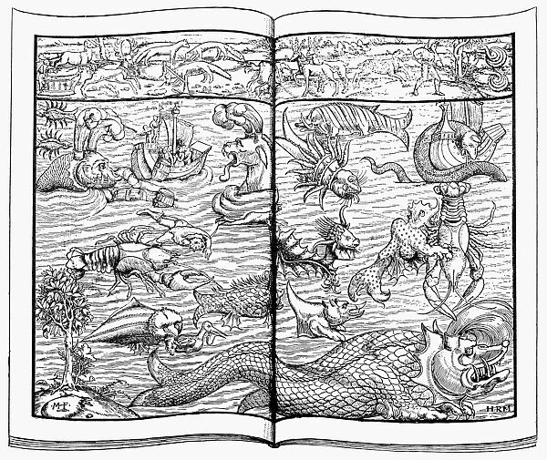 SEA MONSTERS, 1544. Woodcut from Sebastian Munsters Cosmographiae Universalis