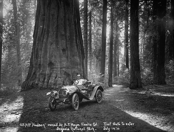 SEQUOIA NATIONAL PARK, 1910. First automobile to enter Sequoia National Park in California