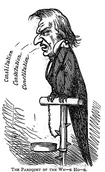 Seventeenth President of the United States. The Paroquet of the Wh-e Ho-e : contemporary cartoon commentary on the impeachment trial of President Andrew Johnson in 1868