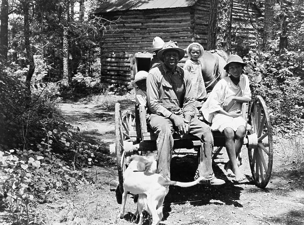 SHARECROPPER, 1939. A sharecropper and his children returning home after stringing