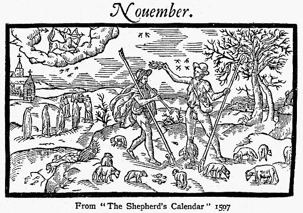SHEPHERD, 1597. Month of November from The Shepherds Calendar. Woodcut, 1597