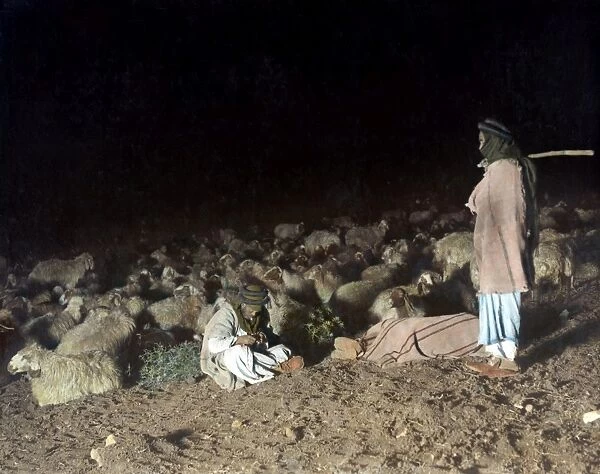 SHEPHERDS WITH FLOCK, c1919. Three Palestinian shepherds with their flock at night