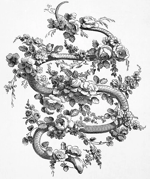 SNAKE AND ROSES, 1762. Decorative engraving, French, 1762