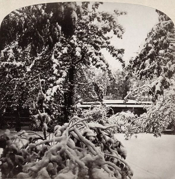 SNOWSTORM, 1862. View of a snowstorm in October. Photograph by Frederick Ferris Thompson