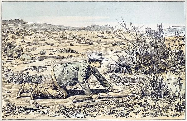 SOUTH AFRICA: HUNTER, 1891. A British hunter in South Africa, stalking two hartebeest antelope