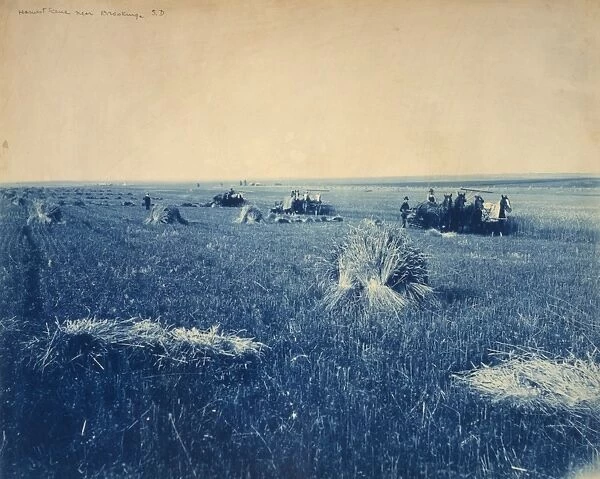 SOUTH DAKOTA: HARVEST. Harvesting near Brookings, South Dakota. Cyanotype photograph