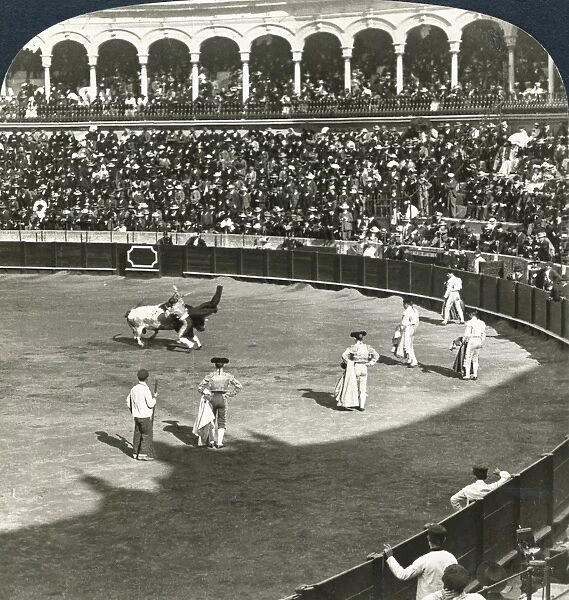 SPAIN: BULLFIGHT, c1908. The critical moment - matador planting his sword in the