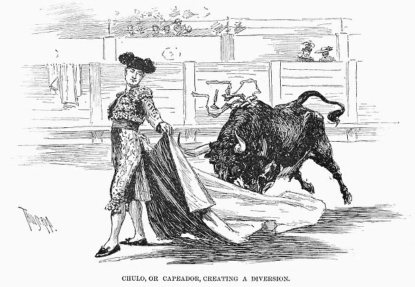 SPAIN: BULLFIGHTING, 1891. Chulo, or capeador, creating a diversion. Madrid. Line drawing