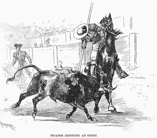 SPAIN: BULLFIGHTING, 1891. Picador resisting an onset, at Madrid, Spain. Line drawing