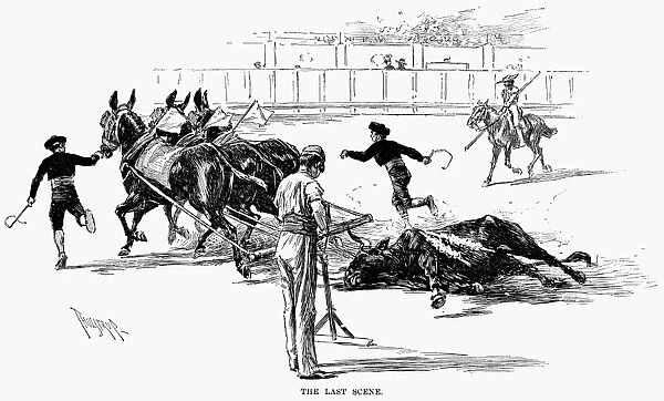 SPAIN: BULLFIGHTING, 1891. The last scene at Madrid