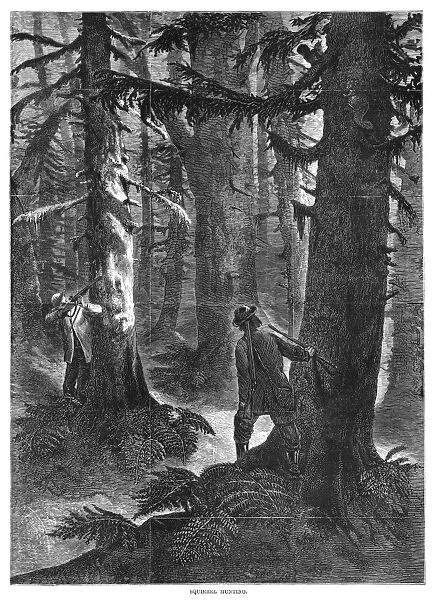 SQUIRREL HUNTING, 1867. Squirrel hunters in a forest. Wood engraving, American, 1867