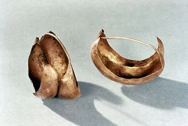 SUMERIAN JEWELRY. Gold earrings from a royal tomb at Ur. c2500 B. C