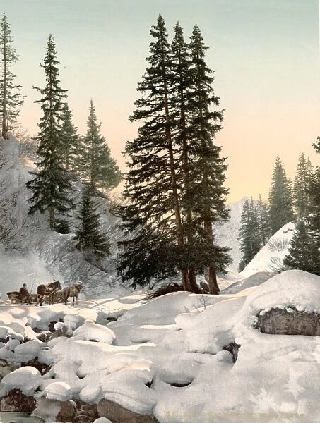 SWITZERLAND: DAVOS, c1895. Winter landscape in Davos, Grison, Switzerland. Photochrome, c1895
