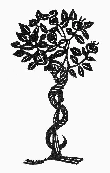 SYMBOL: TEMPTATION. A serpent and apple tree, symbol of temptation. Woodcut