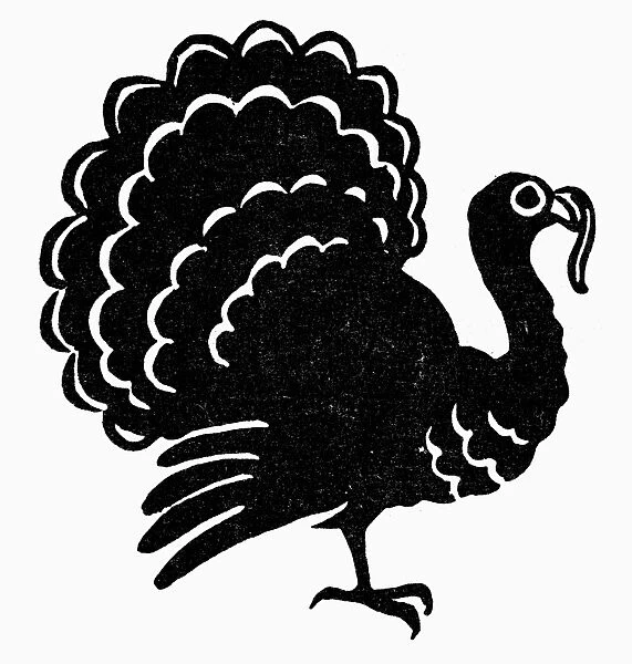 SYMBOL: THANKSGIVING. Turkey, a symbol for Thanksgiving