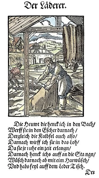 TANNER, 1568. Woodcut, 1568, by Jost Amman