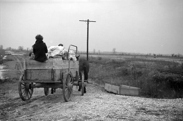 TENNESSEE: FLOOD, 1937. A family on the move in Ridgely, Tennessee during the flooding