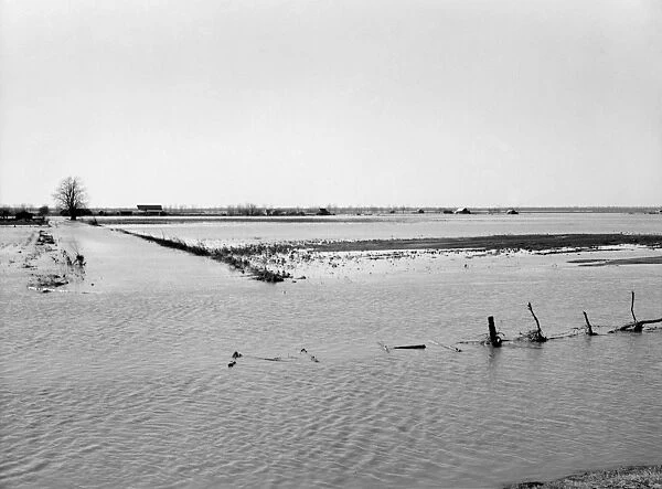 TENNESSEE: FLOOD, 1937. Farmland submerged by the flood at Bessie Levee near Tiptonville