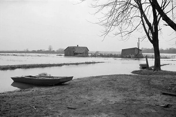 TENNESSEE: FLOOD, 1937. Flooded farmland near Ridgely, Tennessee during the flooding