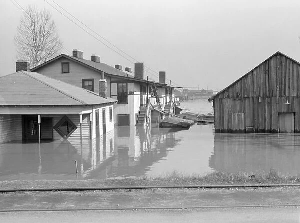 TENNESSEE: FLOOD, 1937. A flooded street in North Memphis, Tennessee. Photograph by Edwin Locke