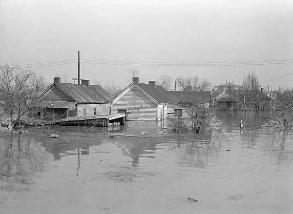 TENNESSEE: FLOOD, 1937. Houses half submerged by flood waters in Memphis, Tennessee