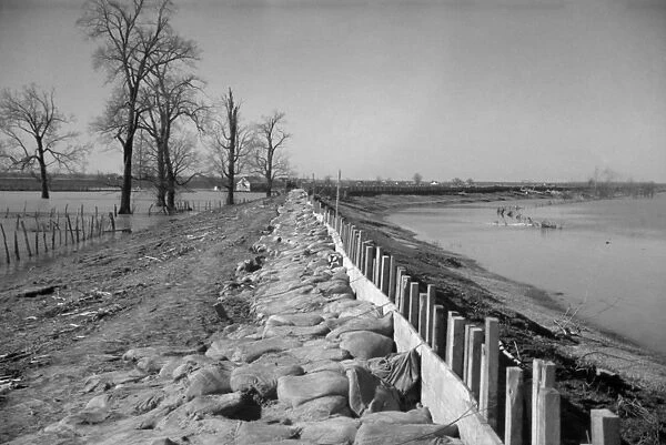 TENNESSEE: LEVEE, 1937. The Bessie Levee lined with sandbags along a subsidiary