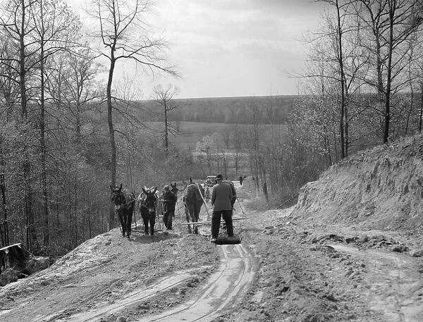 TENNESSEE: ROADS, 1936. Road building near Memphis, Tennessee. Photograph by Carl Mydans