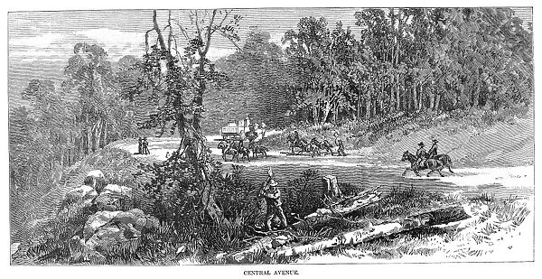 TENNESSEE: RUGBY, 1880. The clearing of Central Avenue in the newly founded town of Rugby