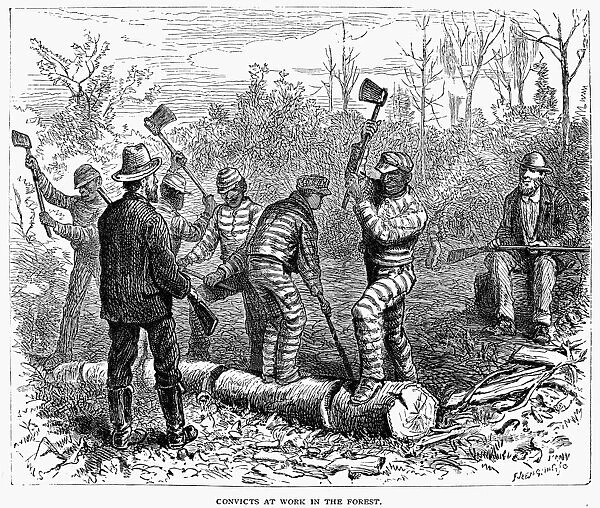 TEXAS: CHAIN GANG, 1874. Convicts at work in the Forest. A chain gang in Texas. Wood engraving, 1874
