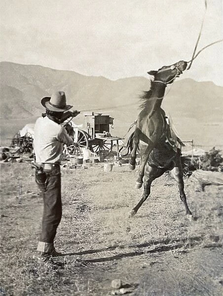 TEXAS: COWBOY, c1910. A cowboy holding a rope around the neck of a bucking bronco on a ranch in Texas. Photograph by Erwin Evans Smith, c1910