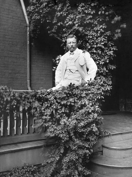 THEODORE ROOSEVELT (1858-1919). 26th President of the United States