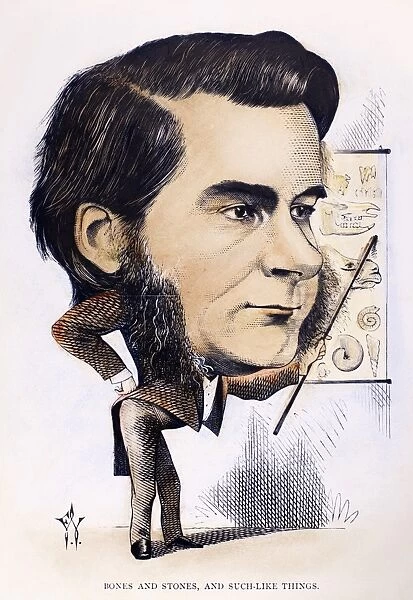 THOMAS H. HUXLEY (1825-1895). English biologist. Bones and Stones and Such-like Things
