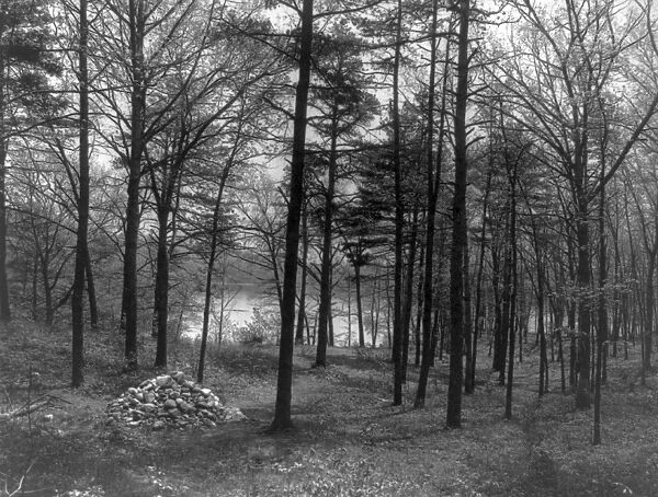 THOREAU: WALDEN POND. Site of Henry David Thoreaus cabin at Walden Pond, Concord, Massachusetts