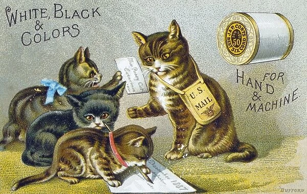THREAD TRADE CARD, 1880. American merchants trade card, c1880