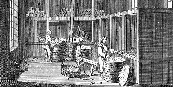 TOBACCO, 18TH CENTURY. Two workers in France sorting tobacco leaves imported