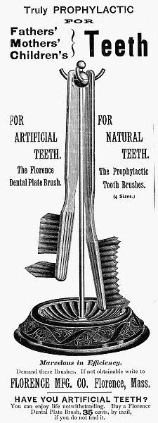 TOOTHBRUSH AD, 1889. American advertisement, 1889