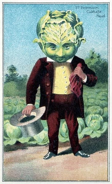 TRADE CARD, c1887. 1st premium cabbage head. Trade card published by J. H. Bufford