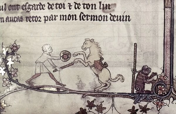 TRAINED HORSE, 14th CENTURY. A man with a performing horse and ape