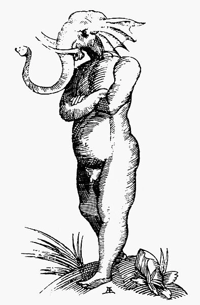 TROGLODYT MONSTER, 1516. The elephant-headed Troglodyt of Ethiopia