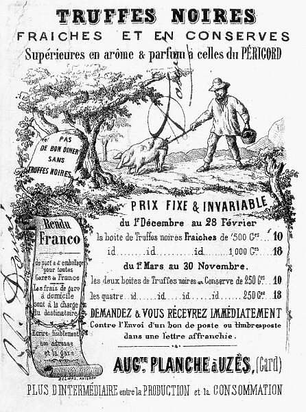 TRUFFLES, 19th CENTURY. French merchants trade card, 19th century, for black truffles