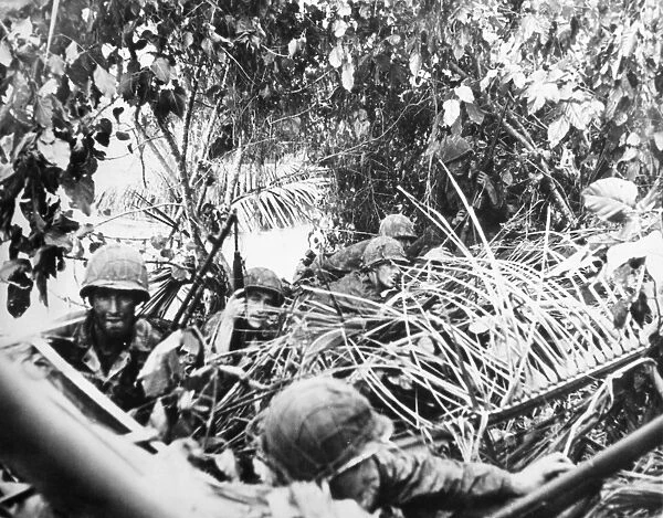 U. S. Marines crouching in the jungle near the beach of Cape Torokina, Bougainville, in Papua New Guinea, during the capture of the island, November 1943