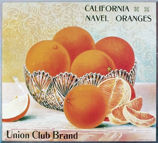 Union Club Brand navel oranges from California