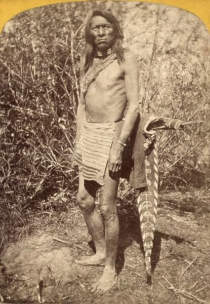 UTE MAN, c1874. A Ute man in the summer in Utah. Photograph by John K. Hillers, c1874