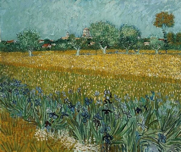 VAN GOGH: FIELD WITH IRISES. Field with Irises near Arles. Oil on canvas, Vincent van Gogh