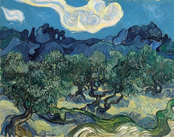 VAN GOGH: OLIVE TREES, 1889. Olive Trees with Alpilles in the Background. Oil on canvas