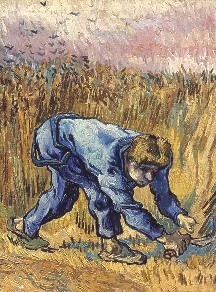 VAN GOGH: THE REAPER, 1889. Oil on canvas, 1889, by Vincent Van Gogh