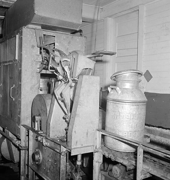 VERMONT: CREAMERY, 1941. Milk cans on a conveyor belt leaving the washing machine