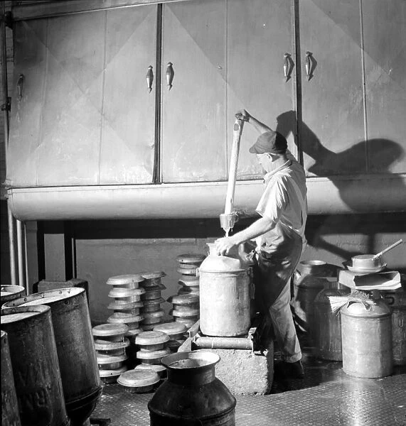 VERMONT: CREAMERY, 1941. A worker fills a milk can with cream as it exits a cooling